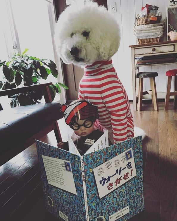 giant dog and baby friendship