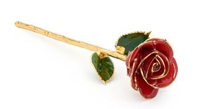 gold rose