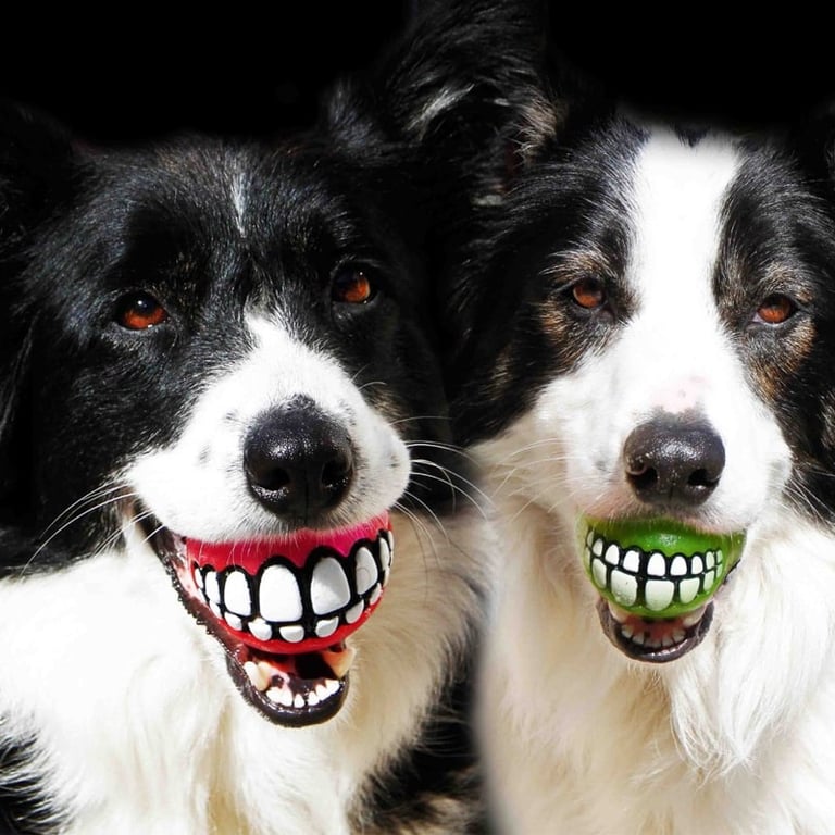 Hilarious Ball Toy for Dogs
