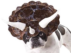 Triceratops Dog Costume