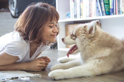 Guide for Pets and their Parents