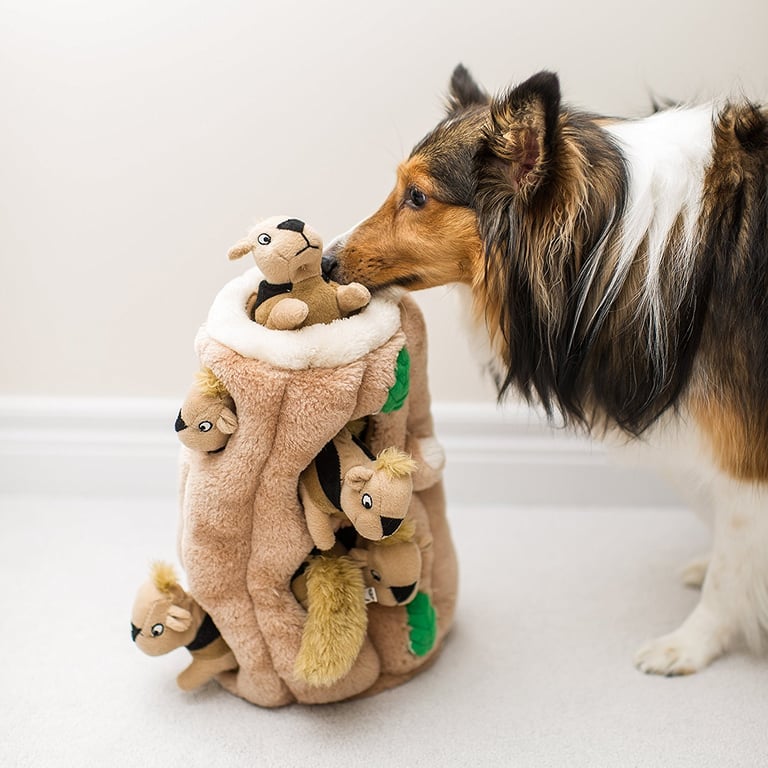 Puzzle Plush Squeaking Toys for Dogs