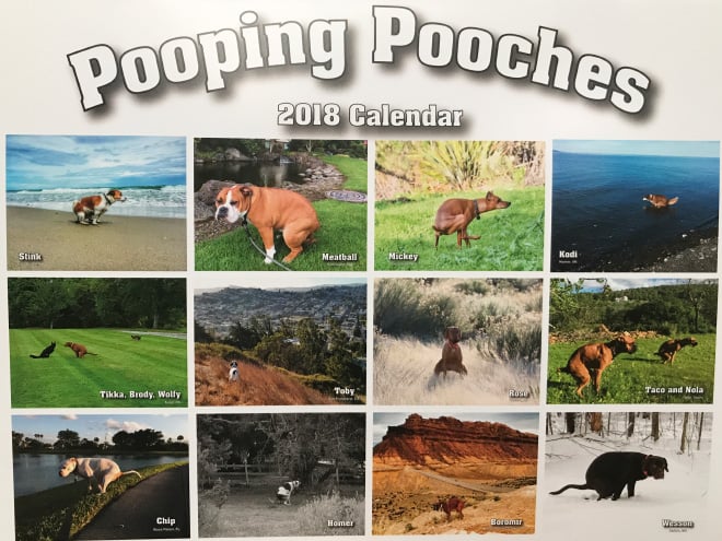 Pooping Dogs Calendar