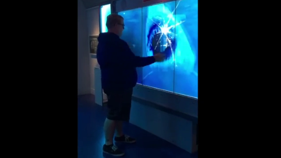 virtual shark attack