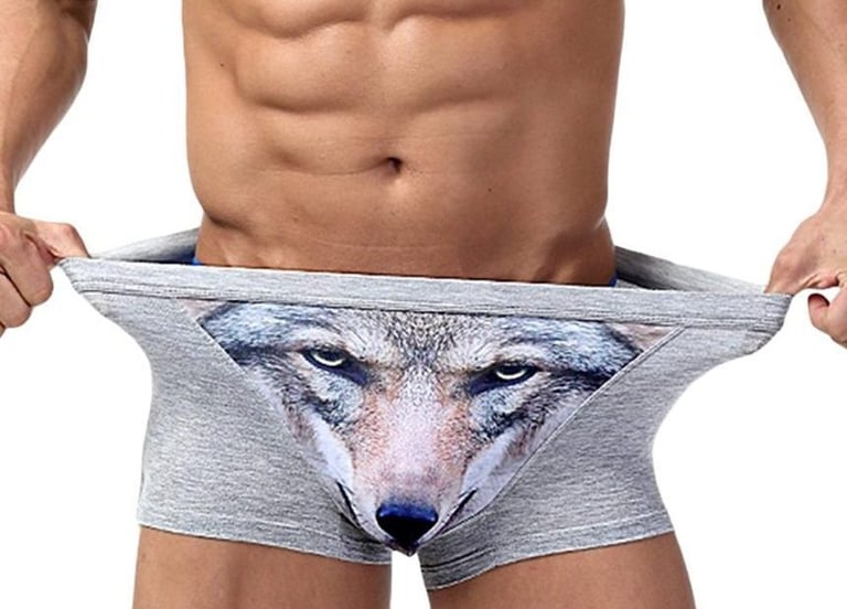 3D Wolf Boxer Briefs