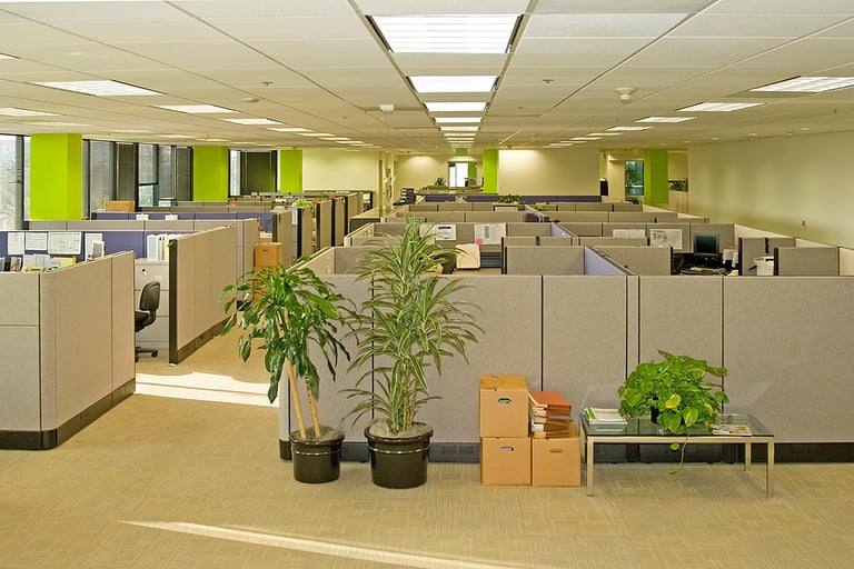 How Property Management SEO and Marketing Brings Companies More Leads