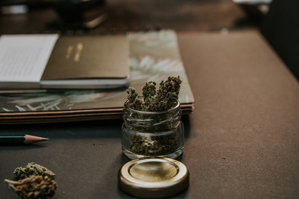 leaves in glass
