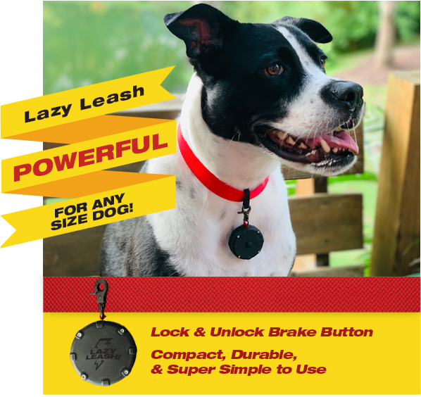 Lazy Leash