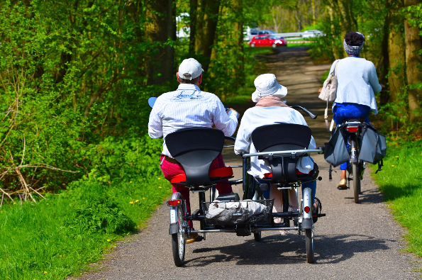 Adult Tricycle