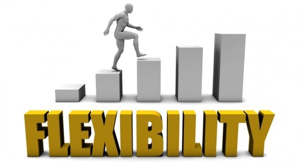 flexibility
