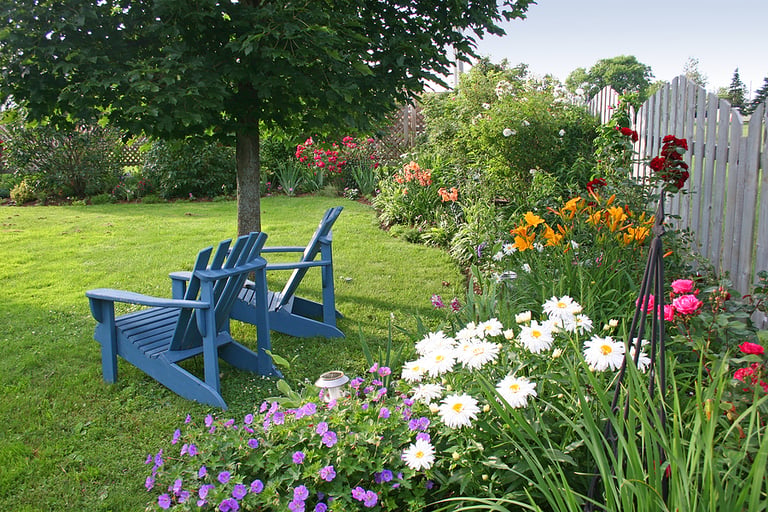 How to Get the Lushest Lawn on the Block in 5 Easy Steps