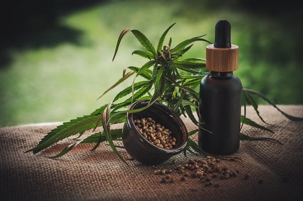 CBD is Not Intoxicating