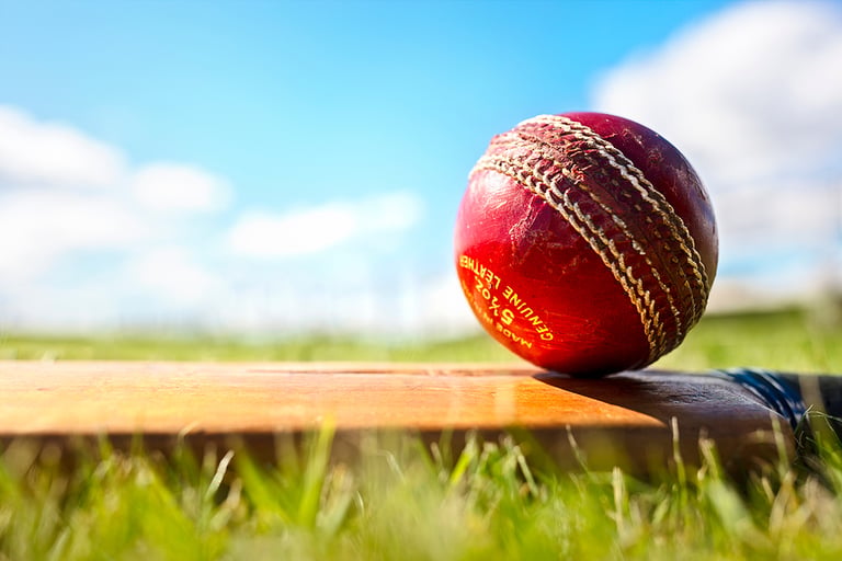 Cricket ball resting on a cricket bat on green grass of cricket pitch