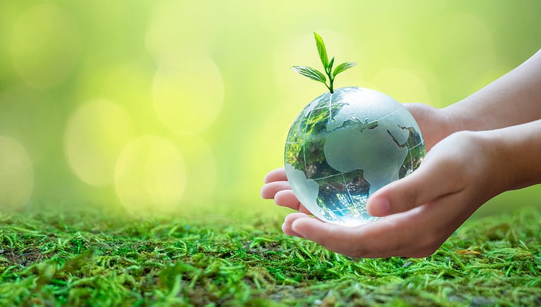 Trupti Sarang Explains Why it’s Important to Preserve Our World