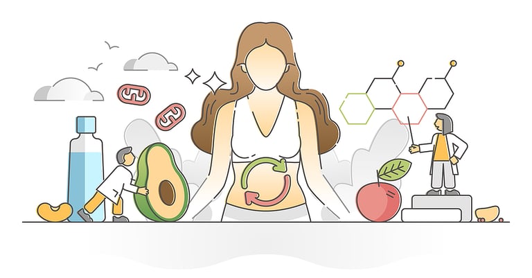 Why a Slow Digestive System Could Be Slowing You Down