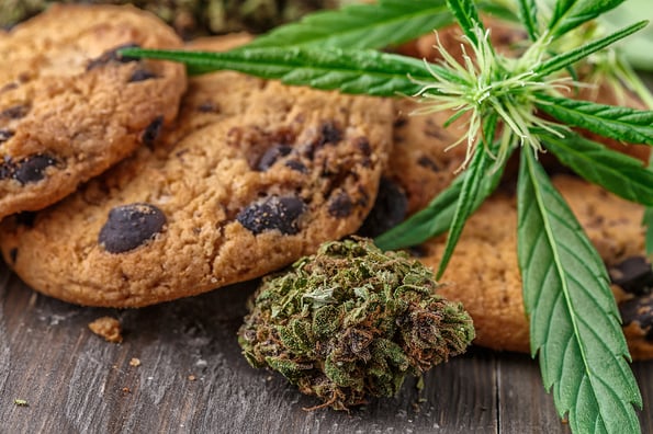 Cookies with cannabis and buds of marijuana on the table. A can of cannabis buds CBD Concept of cooking with cannabis herb. - Medical Legal Marijuana