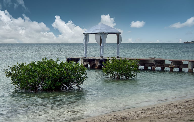 White sandy beach with plants emerging from the water with a breakwater and a white wedding tent in Puerto Rico