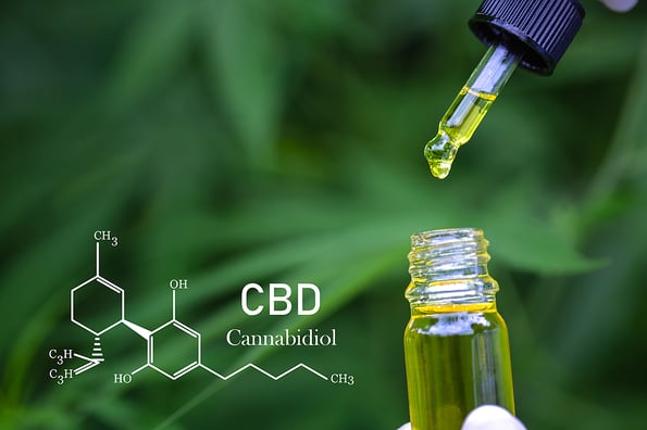 CBD elements in Cannabis, Pipette with hemp oil on blurred background. Cannabis oil against Marijuana plant, CBD or THC oil.