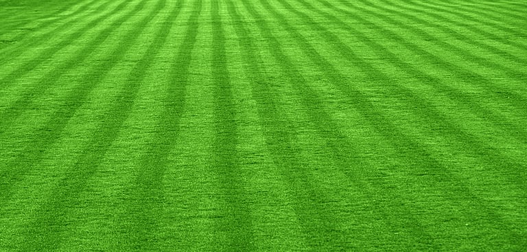 Important Steps To Take If You Want To Have A Beautiful Lawn