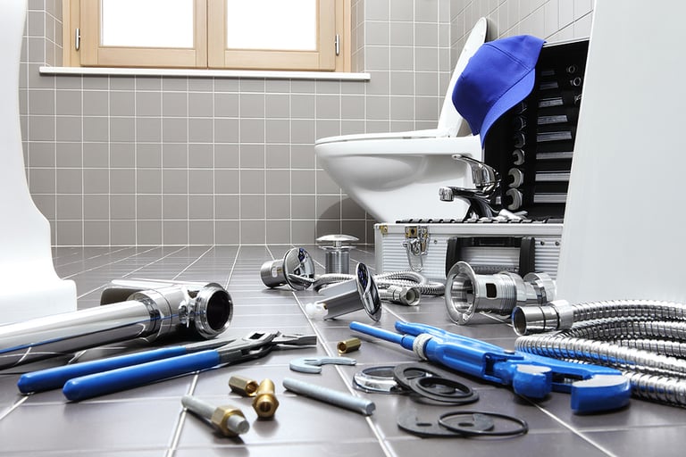 Hire the Best Plumbers for Pipe Relining at Your Home