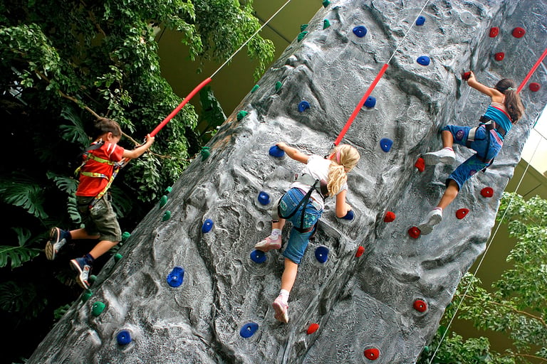 Are You Looking For A Fun Activity To Do With Your Friends? Here Are Some Unique Options