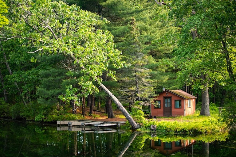 bigstock summer home cabin in the woods