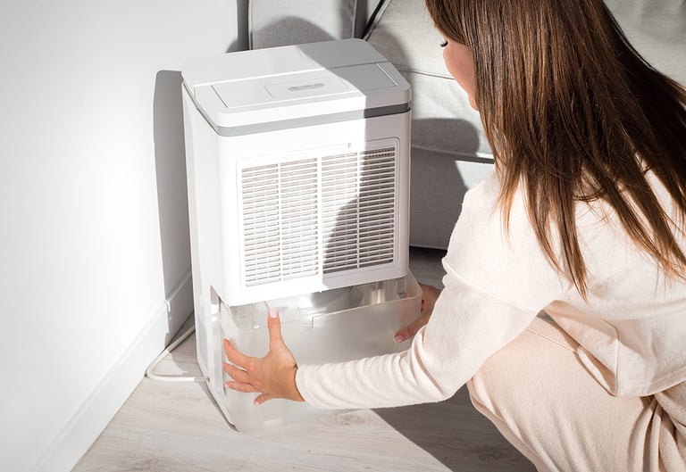 The Essential Guide to American Made Dehumidifiers and Finding the Best Deals