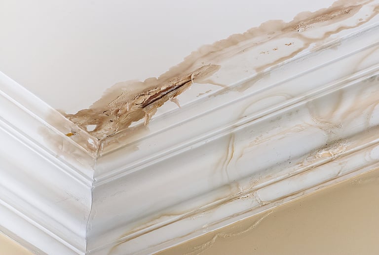 12 Things That Can Cause Leaky Pipe and Plumbing Leaks 