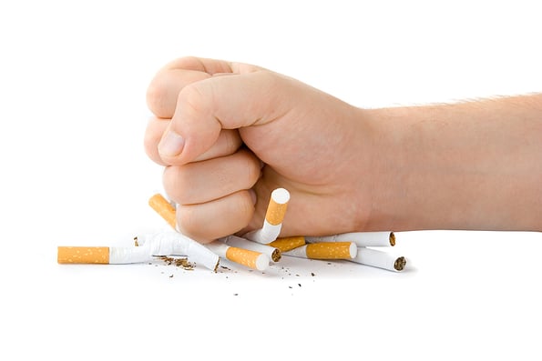 male fist with many cigarettes isolated on white
