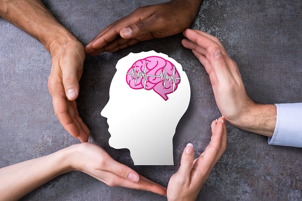 Human Brain Stroke Diagnosis And Therapy. Human Neurology