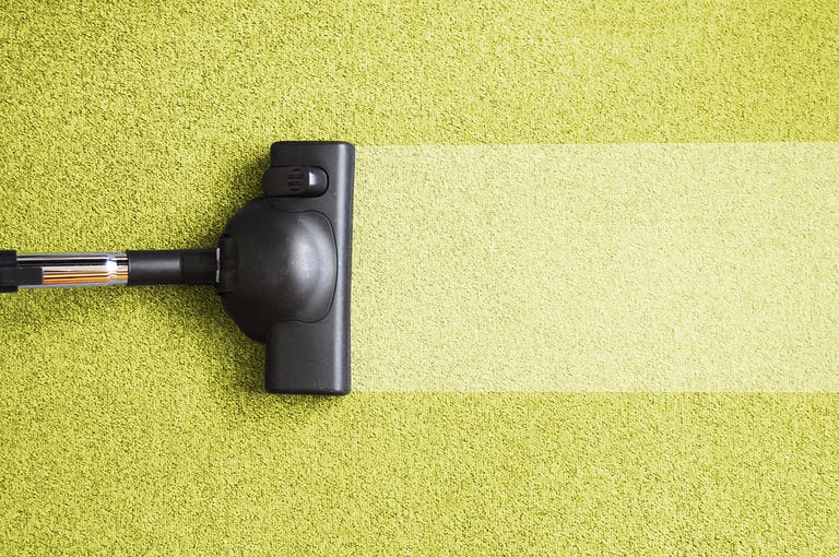 The Dog Dung Vacuum