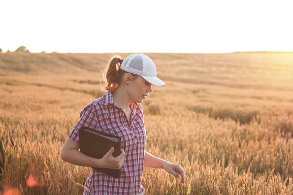Young woman farmer works on a wheat field in the sun. Business woman plans her income in the field. Female agronomist with a tablet study the wheat crop in the agricultural field. Grain harvest.