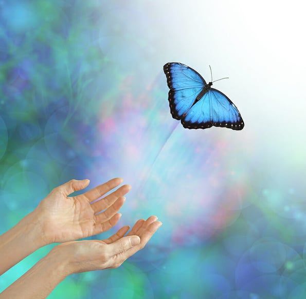 Into the Light - metaphorical representation of releasing or letting a soul go, into the light, using a butterfly, female hands and an ethereal background and white light