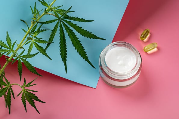 Hemp face cream in a glass jar, two cbd oil capcules and and green cannabis sativa leaves against pink blue background. Marijuana moisturizing anti-aging cosmetics. Herbal skin care ointment. Top view.