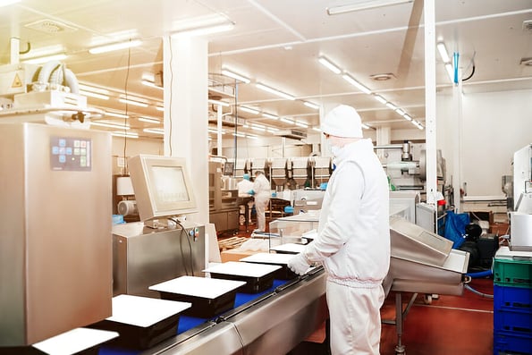 Group of workers working at a chicken factory food processing plant.Automated production line in modern food factory.Meat processing in food industry.Chicken fillet production line.Conveyor Belt Food.