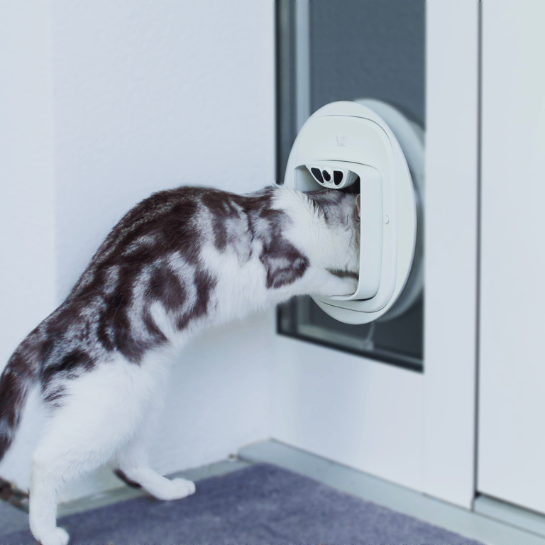 PAWLY APPROVED USE
