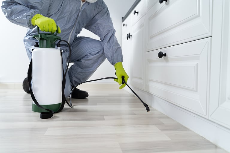Keep Your Home Arachnid-Free: How Exterminator Services Can Help