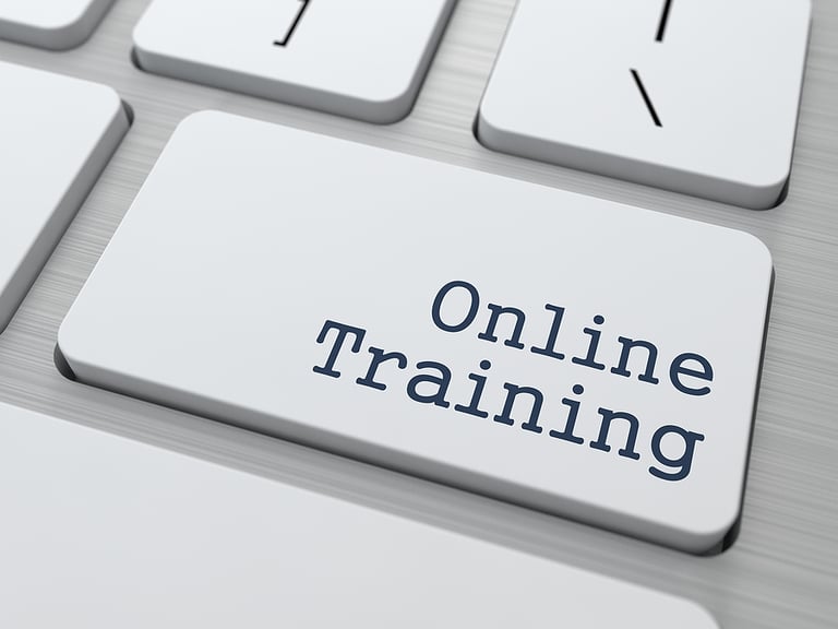 How to Make Sure Your Online Training Is Effective