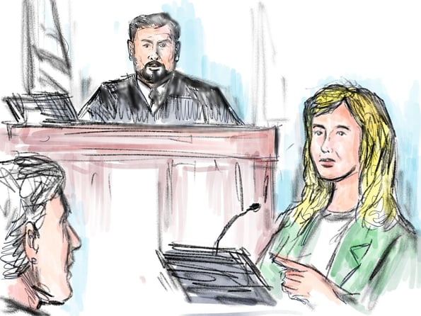 Expert Witness