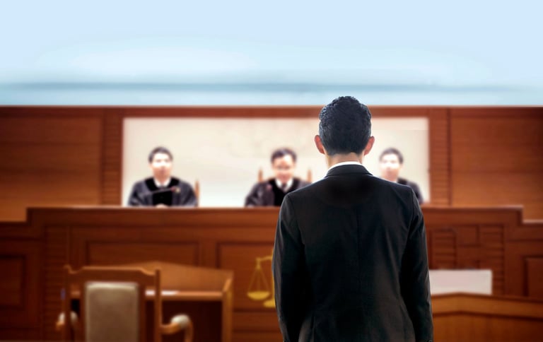 litigation processes