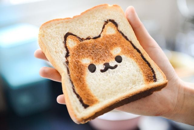 Cat toasted on a slice of bread