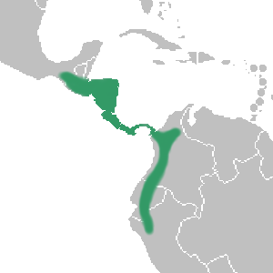 Map showing the growing region of dracula orchids, with locations in Central America, Colombia, Ecuador, and Peru