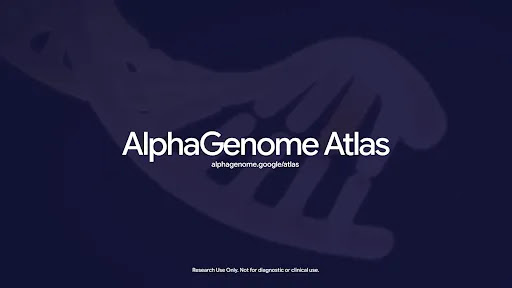 DeepMind Launches AlphaGenome Atlas, an AI Map of 9 Billion Genetic Mutations