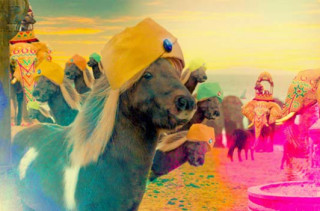 Make Your Own Shetland Ponies Music Video