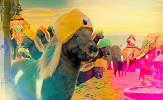 Make Your Own Shetland Ponies Music Video