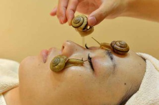 New Anti-Aging Treatment: Snail Facials