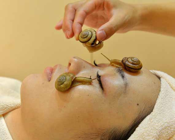 New Anti-Aging Treatment: Snail Facials