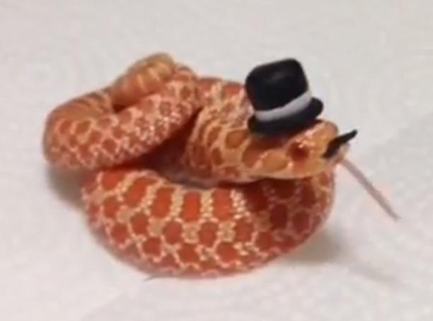 The Classiest Snakes EVAR