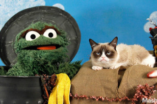 Oscar The Grouch vs Grumpy Cat