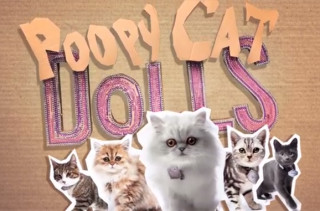 Poopy Cat Dolls: Do you want my purr purr?